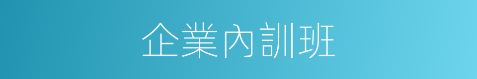 企業內訓班的同義詞