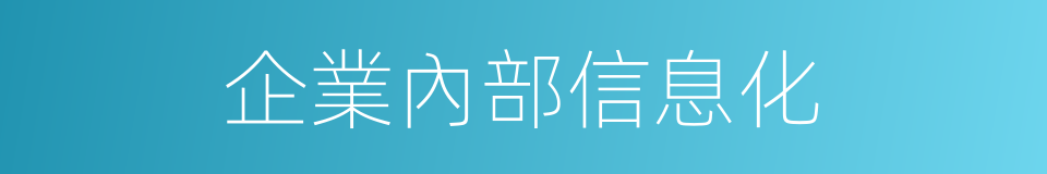 企業內部信息化的同義詞