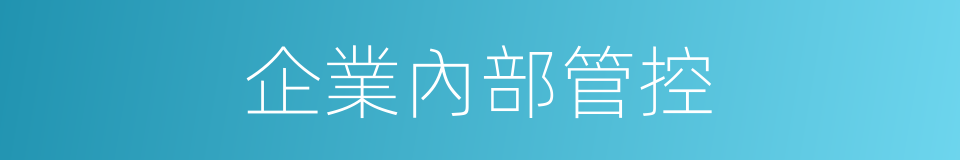 企業內部管控的同義詞