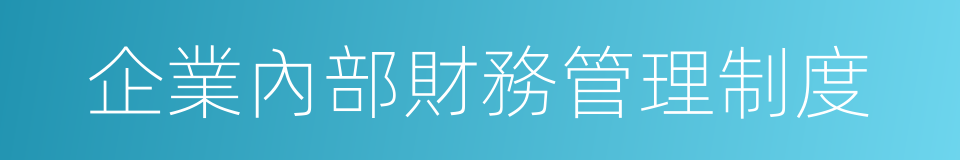 企業內部財務管理制度的同義詞