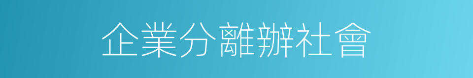 企業分離辦社會的同義詞