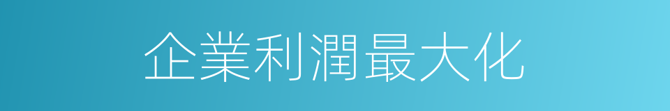 企業利潤最大化的同義詞