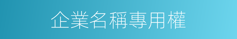 企業名稱專用權的同義詞