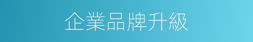 企業品牌升級的同義詞