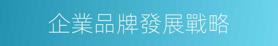 企業品牌發展戰略的同義詞