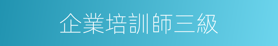 企業培訓師三級的同義詞