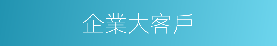 企業大客戶的同義詞