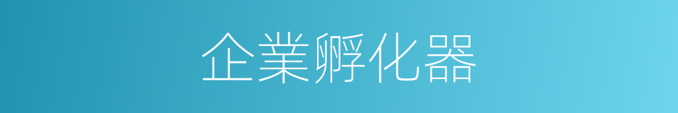 企業孵化器的同義詞