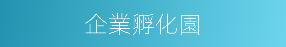 企業孵化園的同義詞