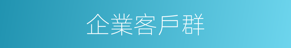 企業客戶群的同義詞