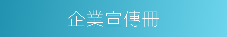 企業宣傳冊的同義詞