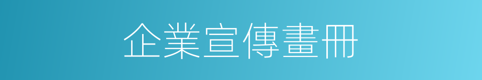企業宣傳畫冊的同義詞