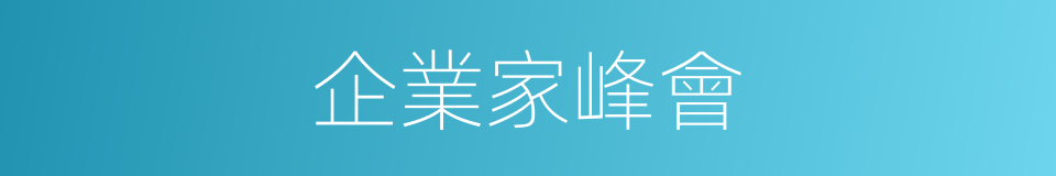 企業家峰會的同義詞