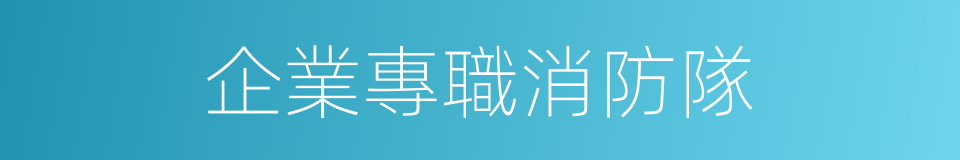 企業專職消防隊的同義詞