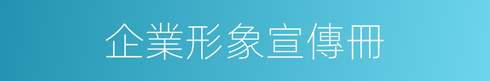 企業形象宣傳冊的同義詞