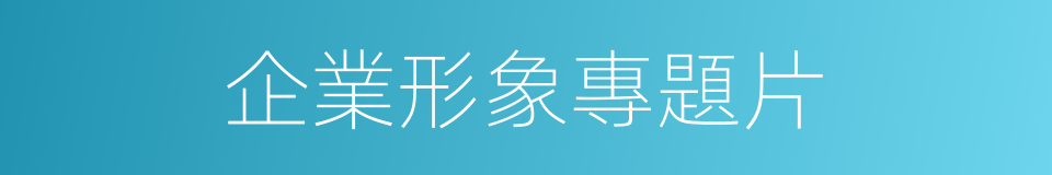 企業形象專題片的同義詞