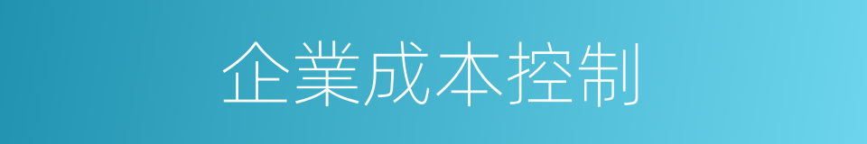 企業成本控制的同義詞