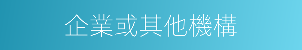 企業或其他機構的同義詞