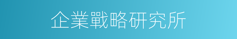 企業戰略研究所的同義詞