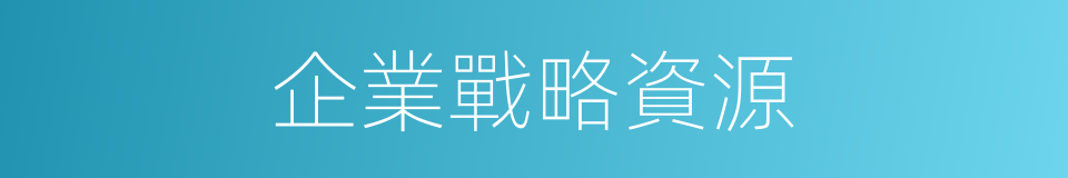 企業戰略資源的同義詞