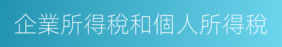 企業所得稅和個人所得稅的同義詞