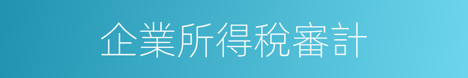 企業所得稅審計的同義詞