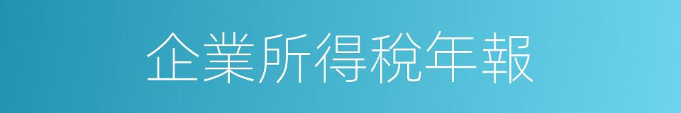 企業所得稅年報的同義詞