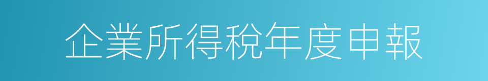 企業所得稅年度申報的同義詞