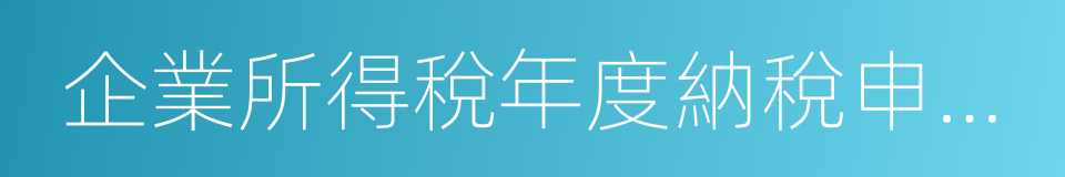 企業所得稅年度納稅申報表的同義詞