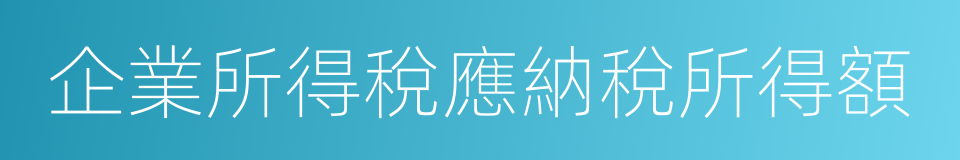 企業所得稅應納稅所得額的同義詞