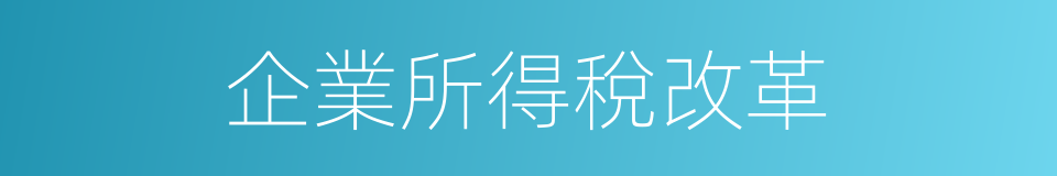 企業所得稅改革的同義詞