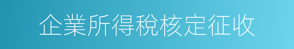 企業所得稅核定征收的同義詞