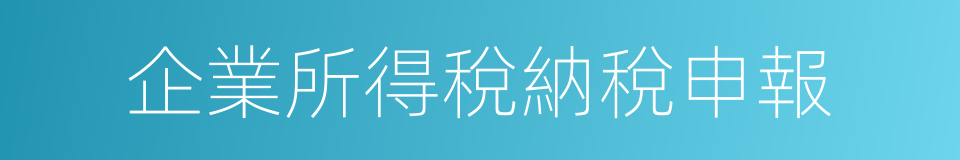 企業所得稅納稅申報的同義詞