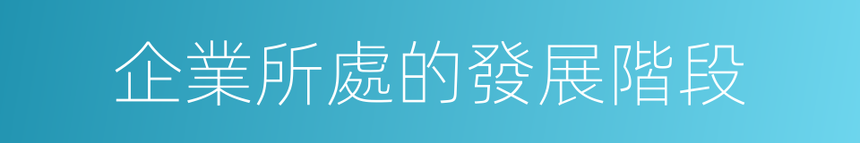 企業所處的發展階段的同義詞