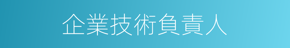 企業技術負責人的同義詞