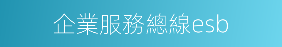 企業服務總線esb的同義詞