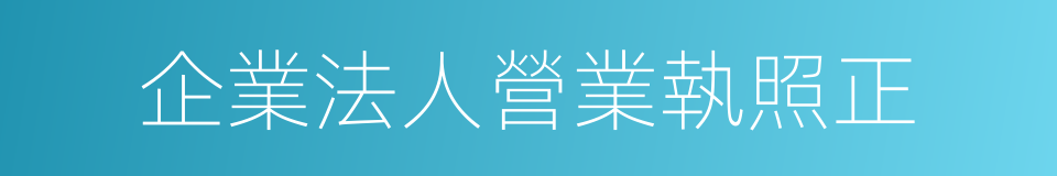 企業法人營業執照正的同義詞