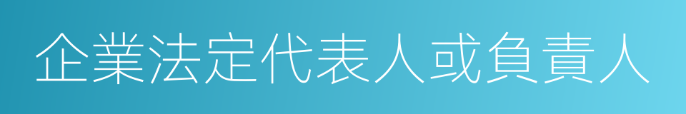 企業法定代表人或負責人的同義詞