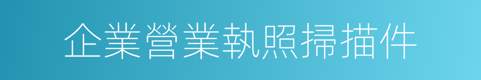 企業營業執照掃描件的同義詞