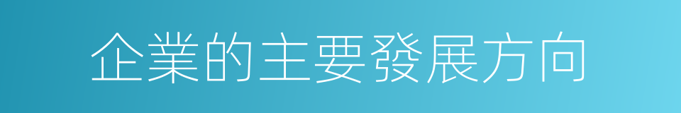 企業的主要發展方向的同義詞