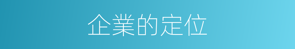 企業的定位的同義詞