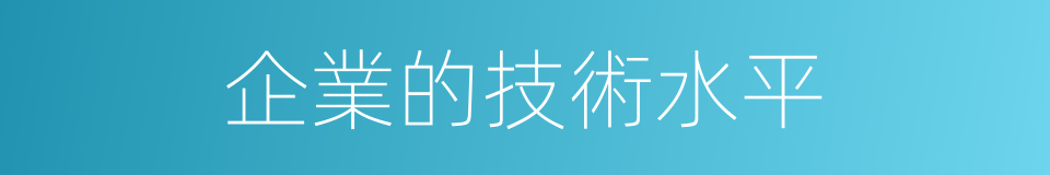 企業的技術水平的同義詞