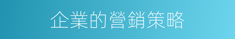 企業的營銷策略的同義詞