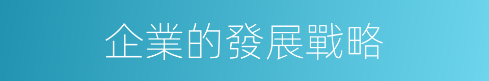 企業的發展戰略的同義詞