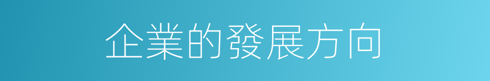 企業的發展方向的同義詞