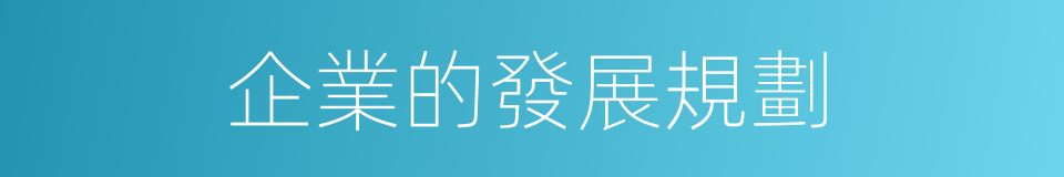 企業的發展規劃的同義詞