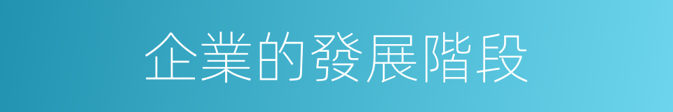 企業的發展階段的同義詞