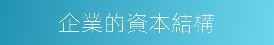 企業的資本結構的同義詞