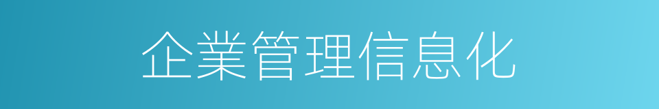 企業管理信息化的同義詞