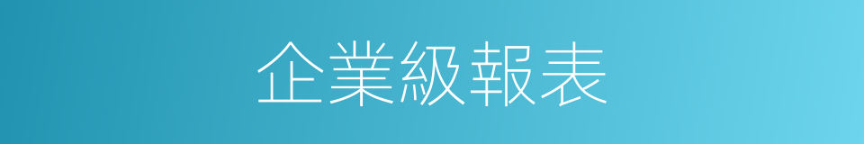 企業級報表的同義詞